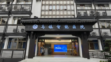 醫療AI科技如何助力公立醫院改革與高質量發展？